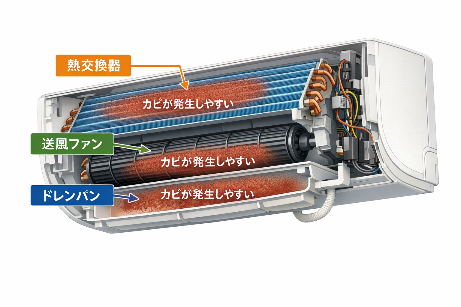 エアコン内部構造とカビが発生しやすい場所