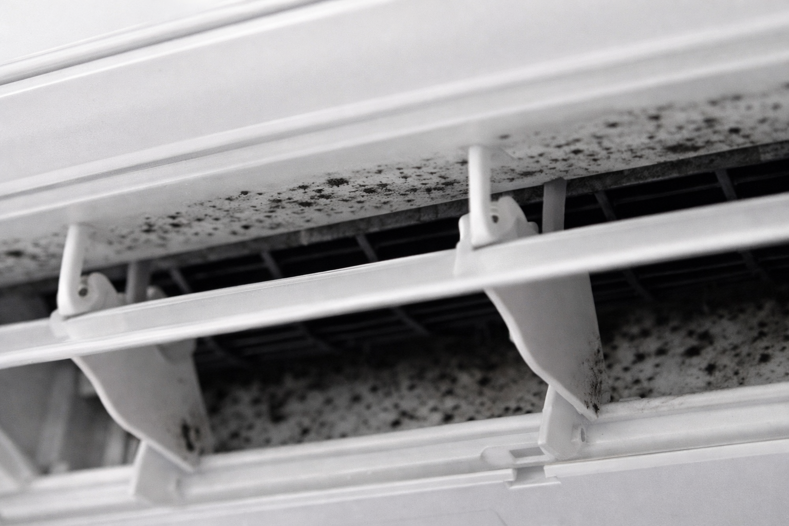 エアコン吹き出し口の黒いカビの例