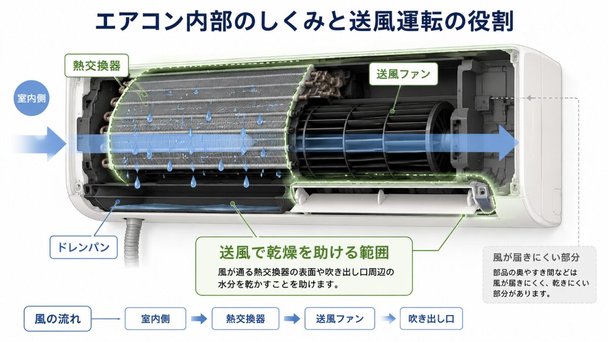 エアコン内部構造と送風で乾燥を助ける範囲