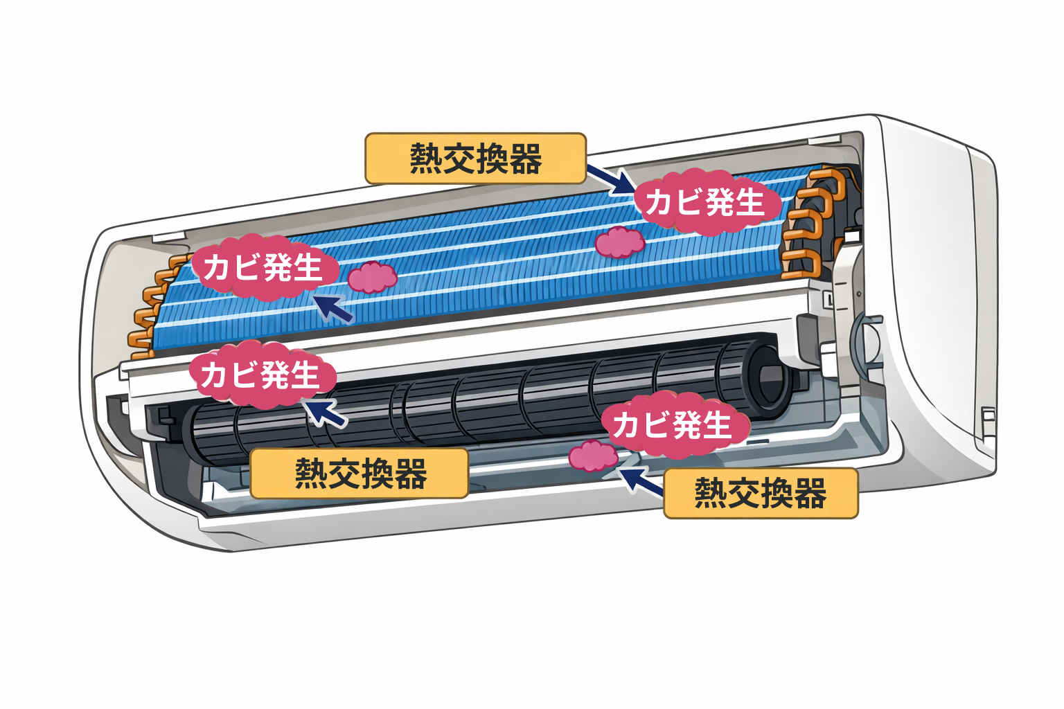 エアコン 内部構造 熱交換器 送風ファン カビ発生位置