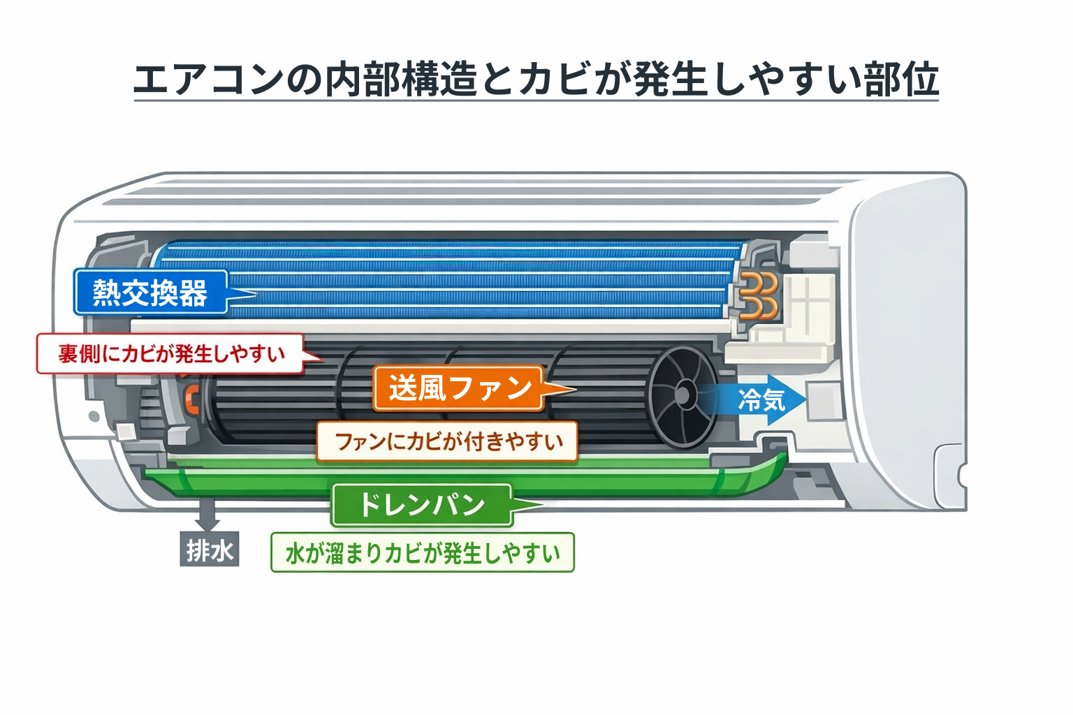 エアコン内部構造とカビが発生しやすい部位の図解
