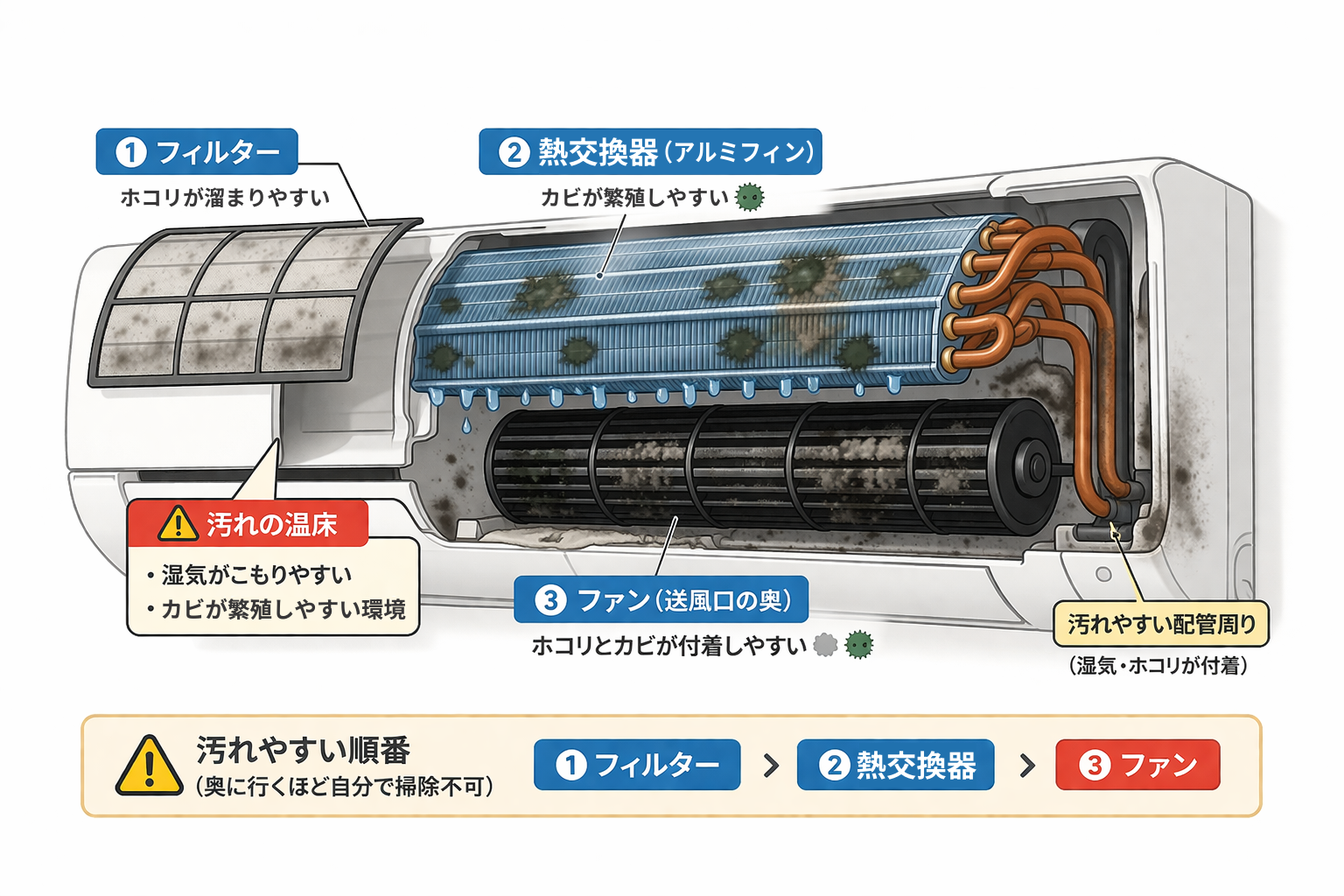 エアコン内部の構造と汚れやすい部位の図