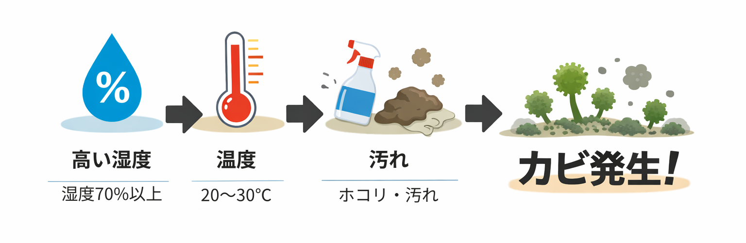 カビ発生の仕組み