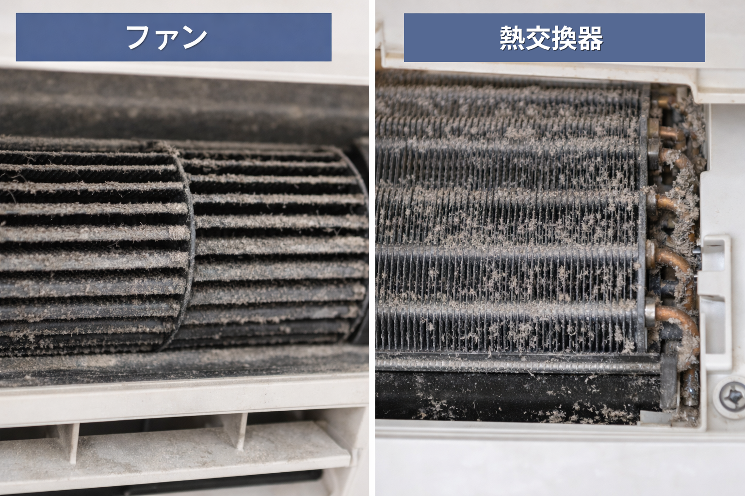 エアコン内部の主要な汚れ箇所