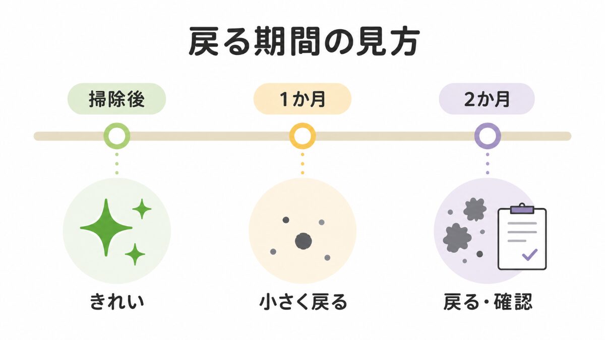 浴室カビが掃除後1か月2か月で戻るか確認する時系列フロー