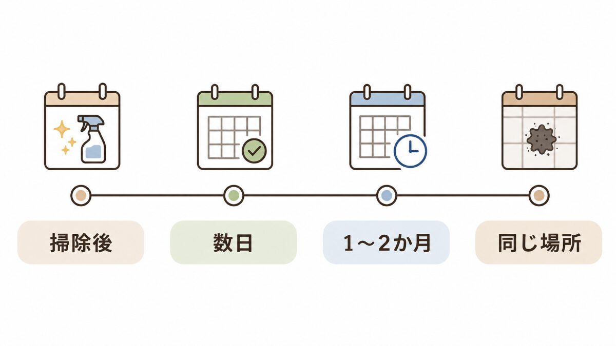 浴室黒ずみが戻る時期を掃除後数日1〜2か月同じ場所で見る図解