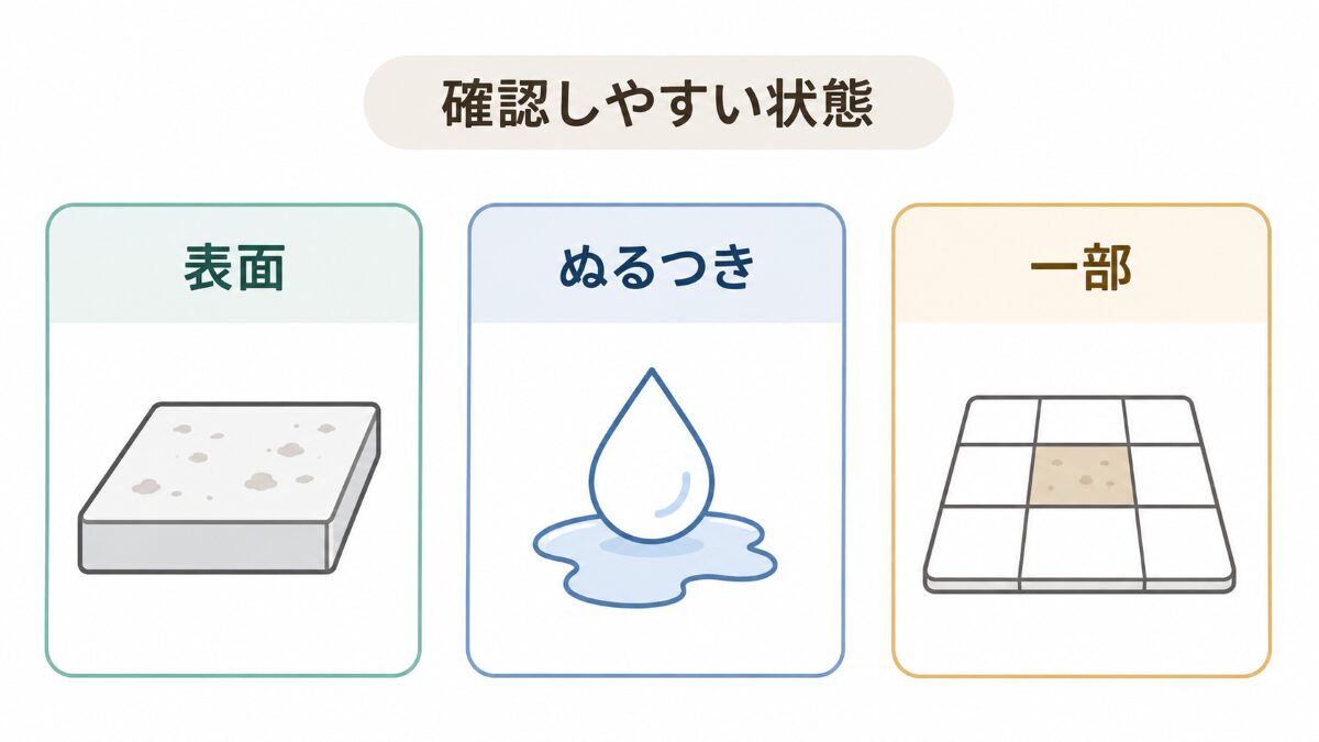 浴室黒ずみを自分で対応しやすい状態に分ける3カード図解