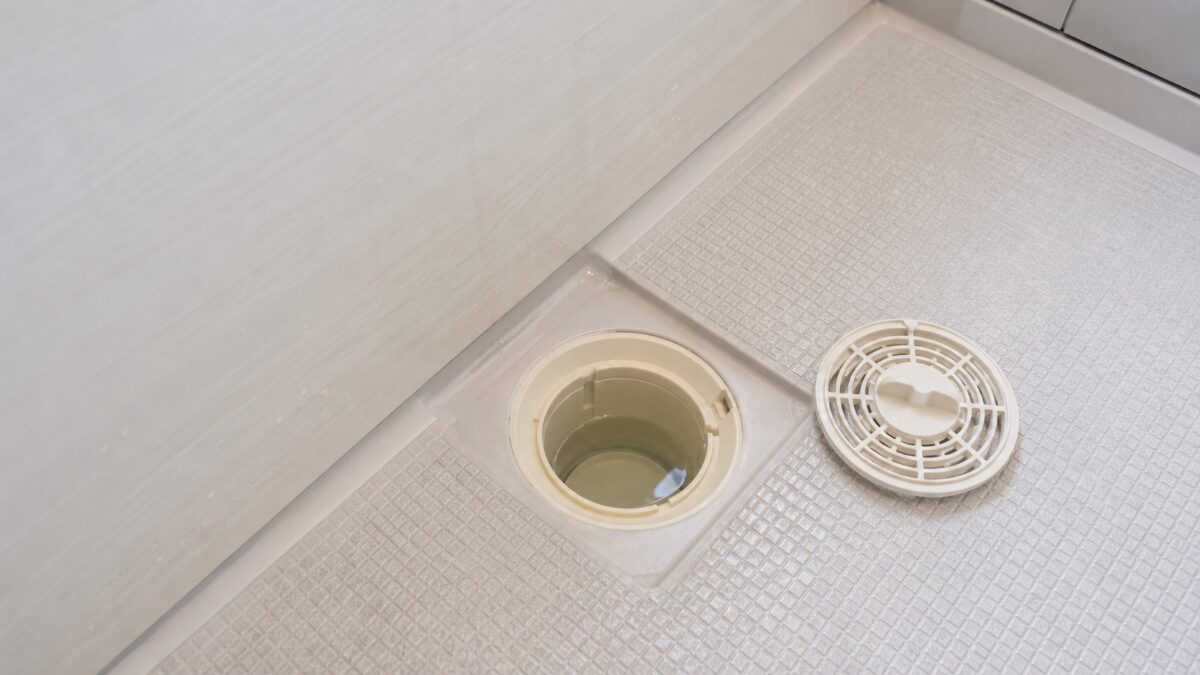 フタを外した浴室排水口の内部に封水が見える状態