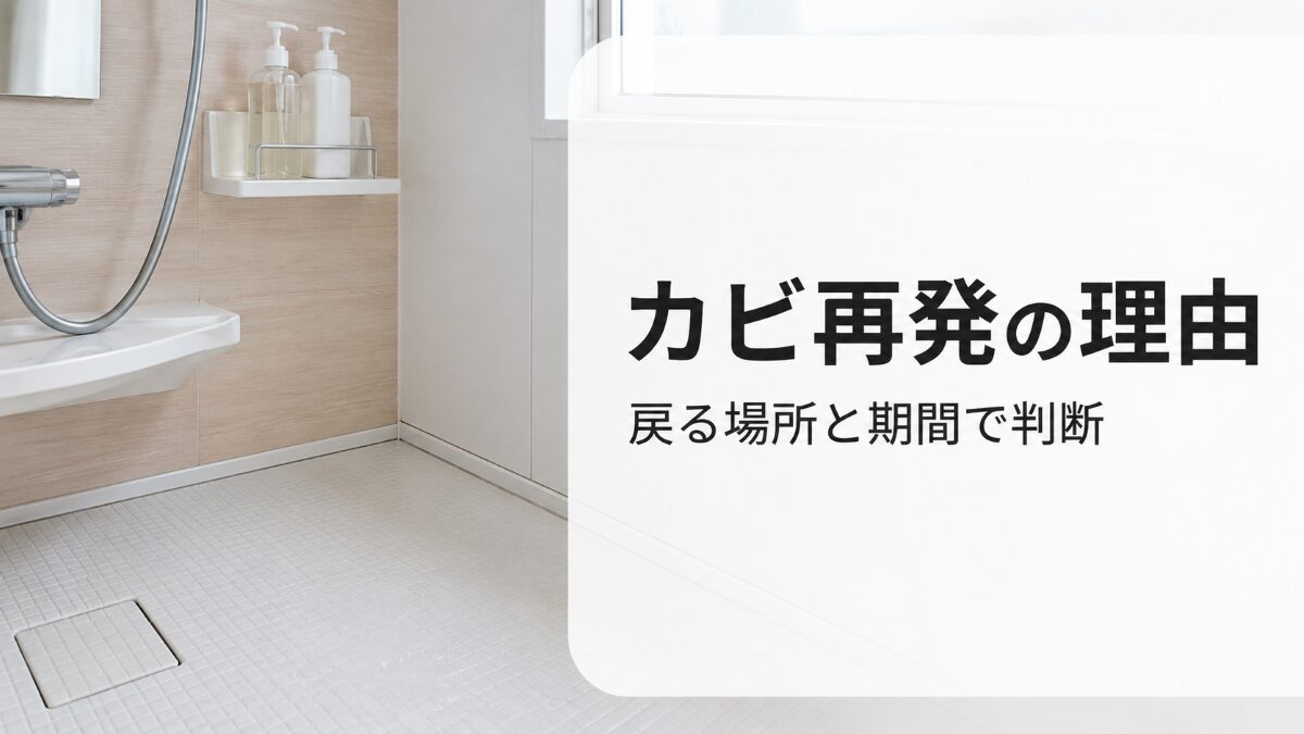 浴室カビが再発する理由を戻る場所と期間で判断する記事のアイキャッチ