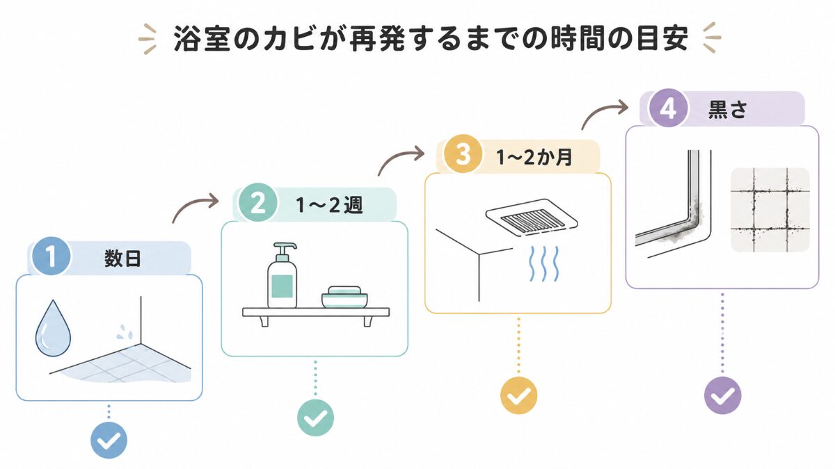 浴室カビの再発までの期間を数日1〜2週間1〜2か月黒さで分ける時系列フロー