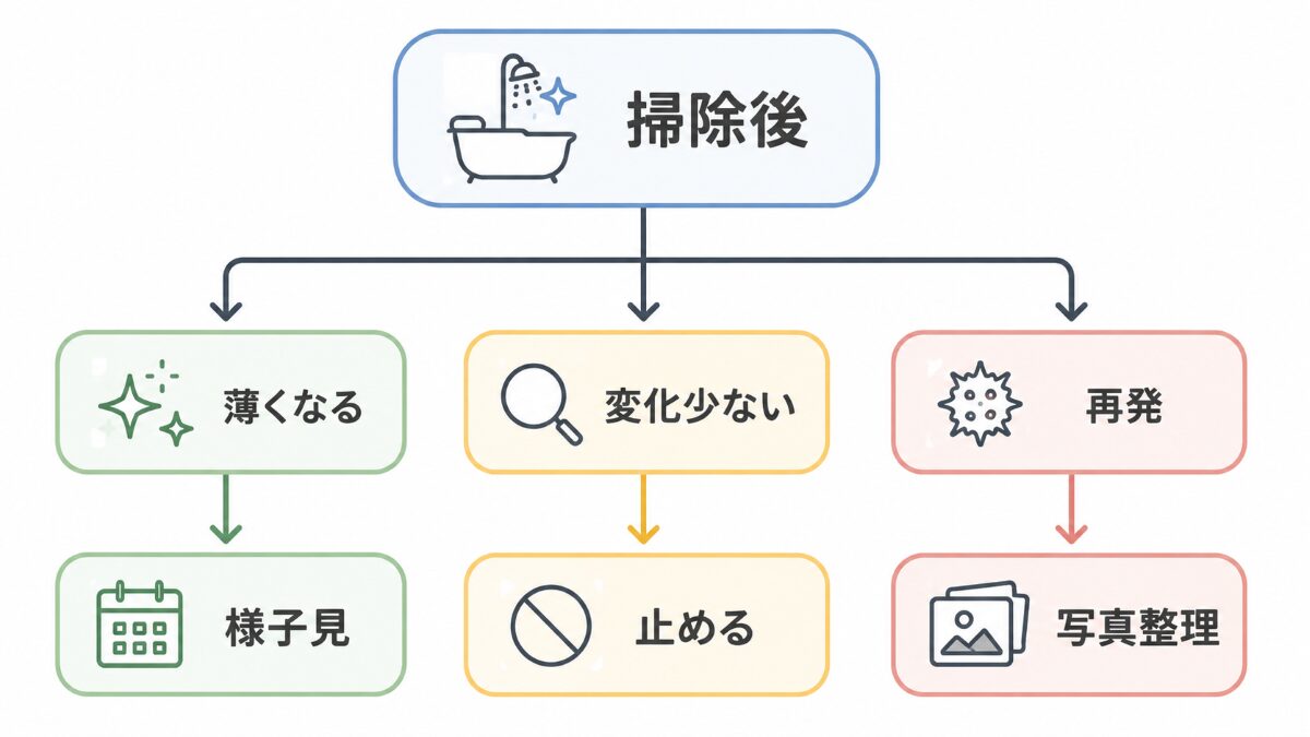 浴室ゴムパッキンのカビを掃除後の変化と再発で判断するフロー