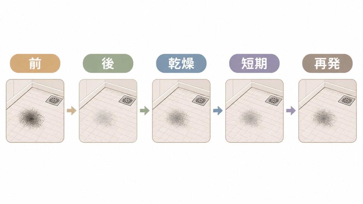 浴室床の黒ずみを掃除前から掃除後乾燥後短期確認再発まで追う時系列フロー