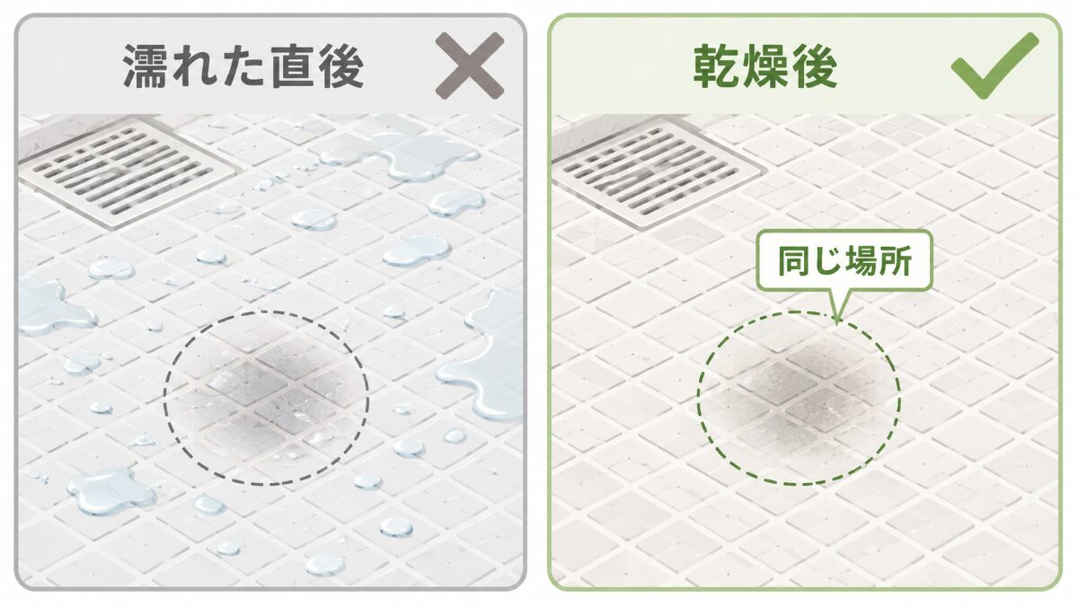 浴室床の黒ずみを濡れた直後だけでなく乾燥後にも同じ場所で確認する比較図
