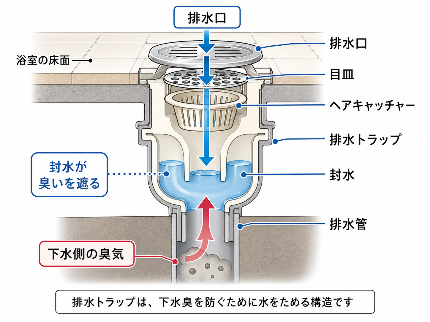 浴室排水トラップの基本構造と封水の役割を示した図解