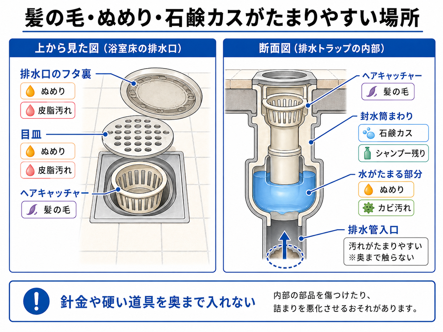 浴室排水トラップに髪の毛やぬめりがたまりやすい場所を示した図解