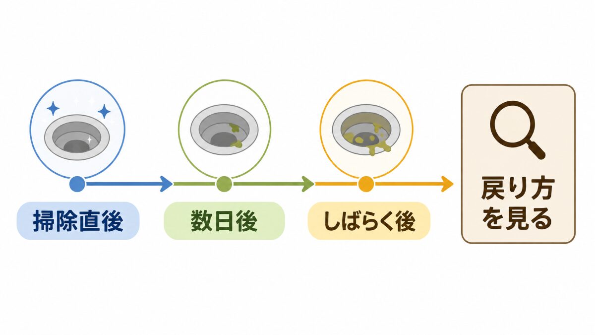 排水口掃除後にヌメリが戻るまでの時間を見る判断図