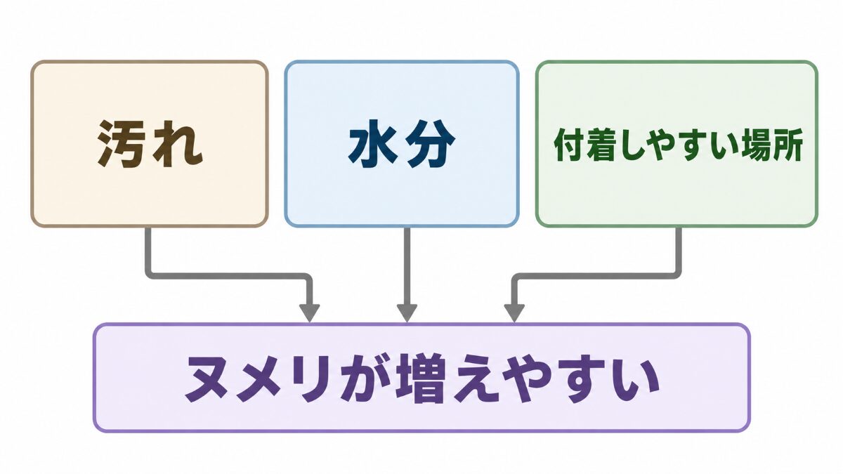 排水口のヌメリが発生しやすい3つの条件
